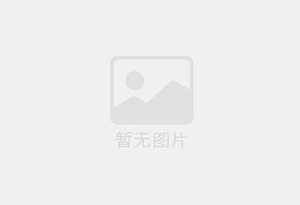 立式回流管胶体磨广州善友牌